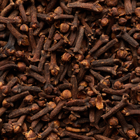 Clove Bud Essential Oil