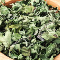 Marjoram Essential Oil