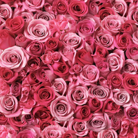 Rose Oxide