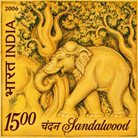 Sandalwood Album Essential Oil (Indian)