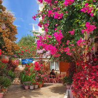 The Fiskardo Collection Set