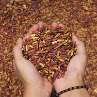 Clove Bud Essential Oil