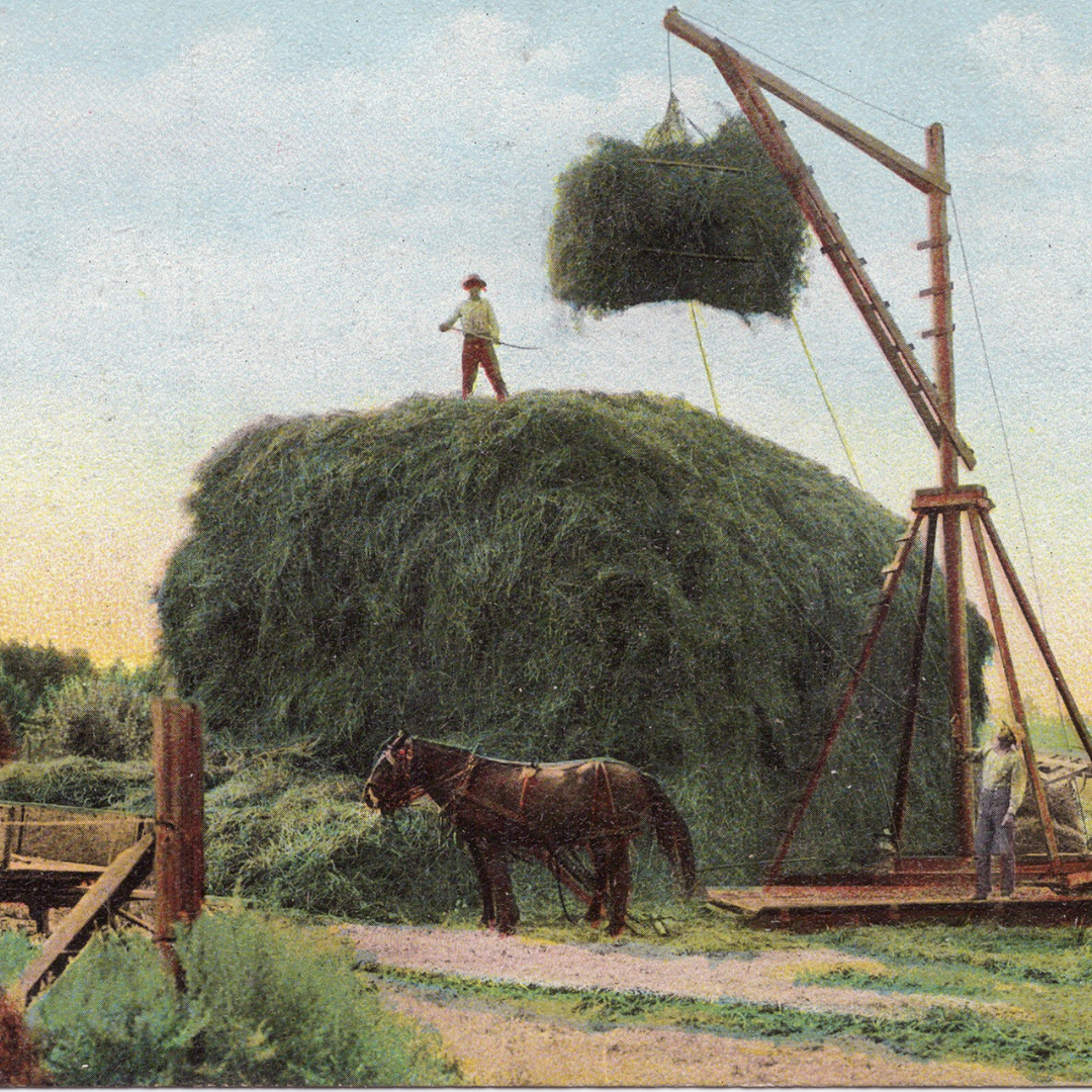 Hay Accord