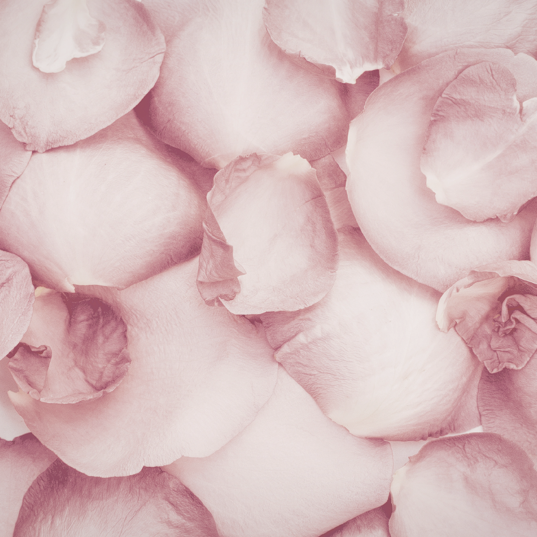 Rose Petal Accord
