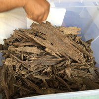 Agarwood Accord