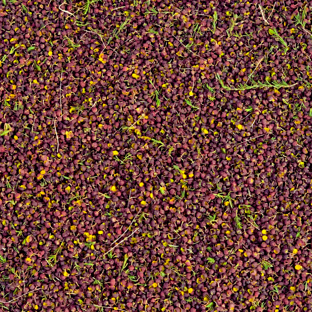 Dense dark red and purple boronia flower texture for Boronia Absolute CO2 extract