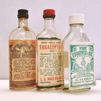 Eucalyptus, Blue Gum Essential Oil