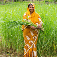 Lemongrass (Cochin) Essential Oil