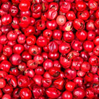 Pepper, Pink Essential Oil