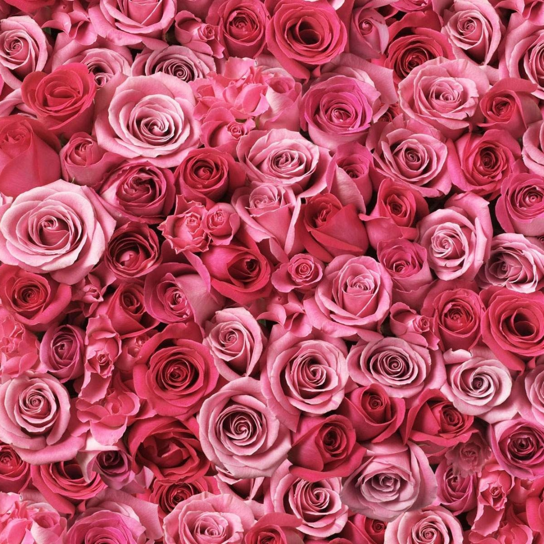 Rose Oxide