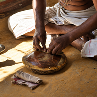 Sandalwood Album Essential Oil (Indian)