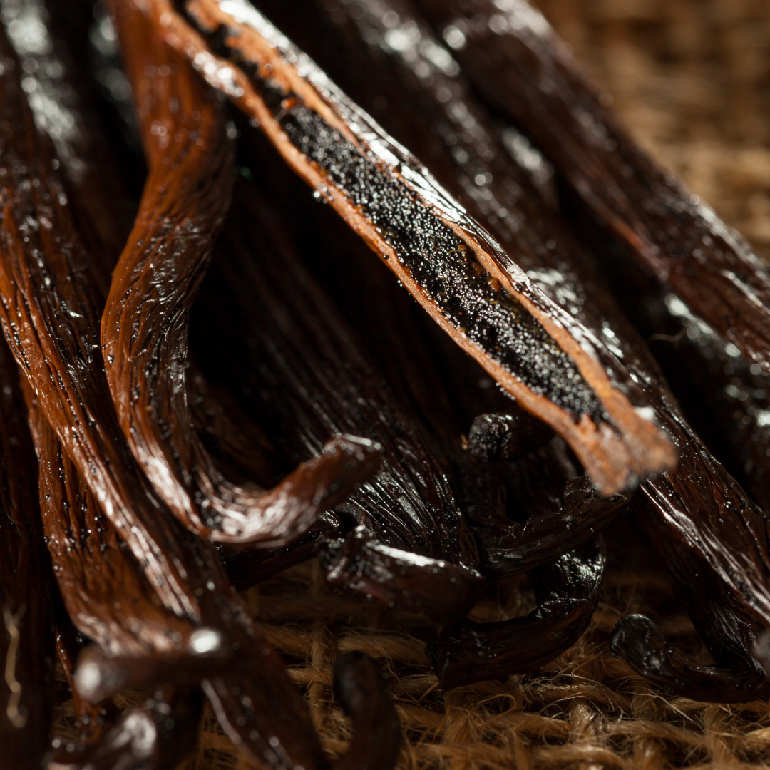 Vanilla, 5-Fold Extract