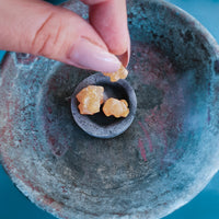Frankincense Carterii Resin