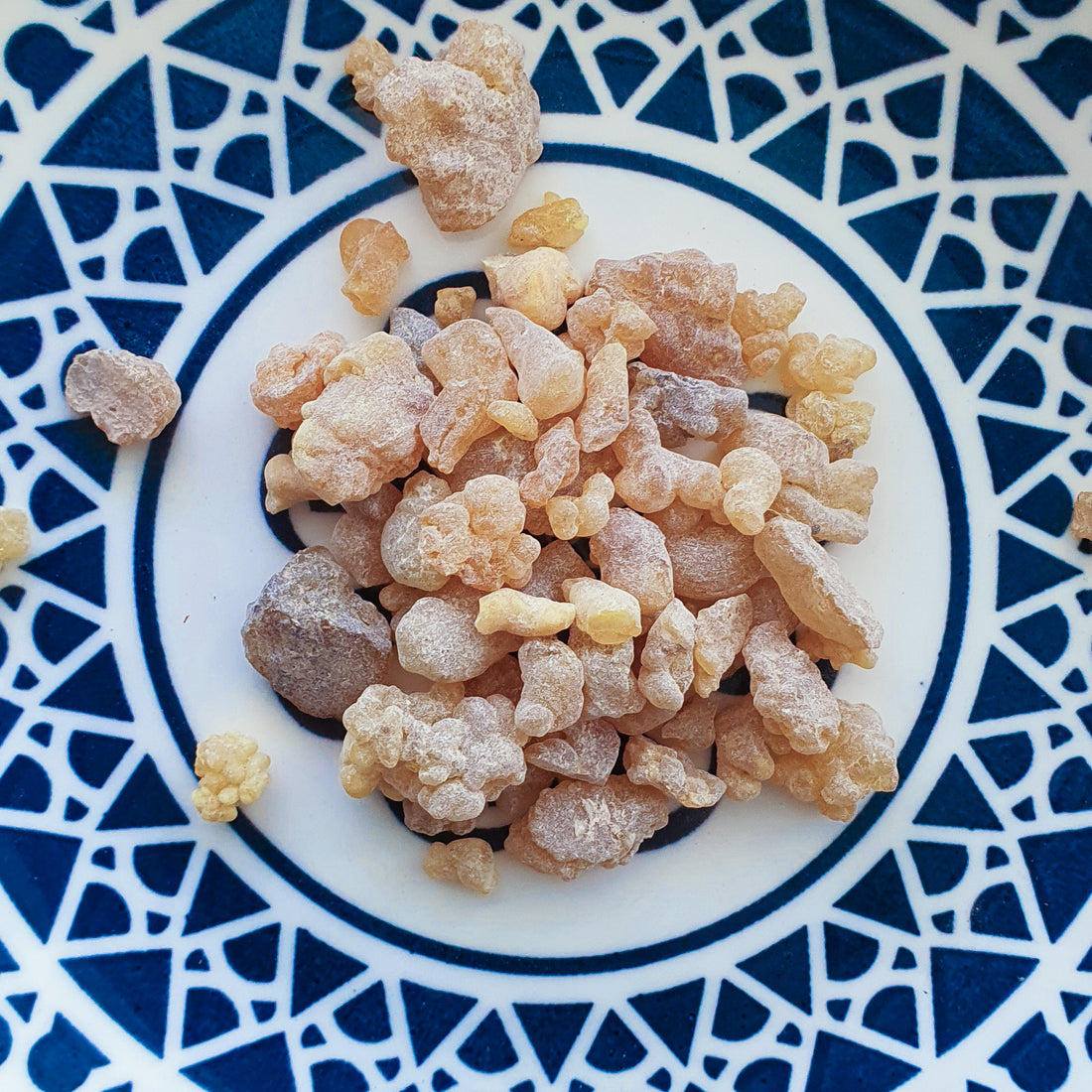 Frankincense Carterii Resin