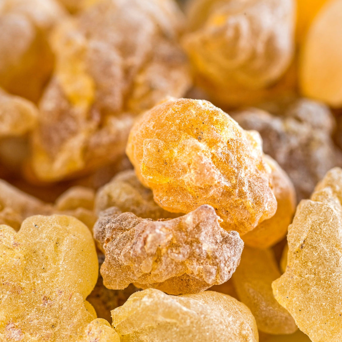 Frankincense Carterii Resin